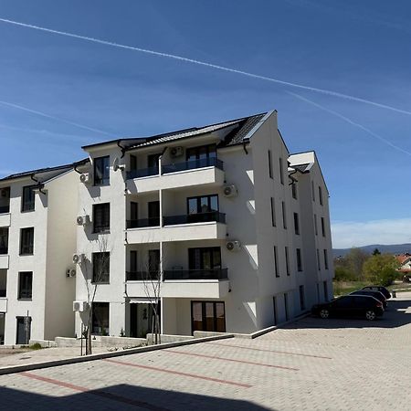 Aleksandar Apartman Sokobanja Exterior foto