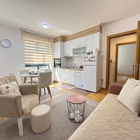 Aleksandar Apartman Sokobanja Exterior foto